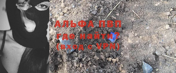 прущие грибы Пестово