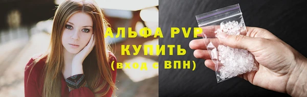 стафф Алексин