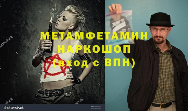 стафф Алексин