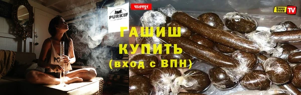 стафф Алексин