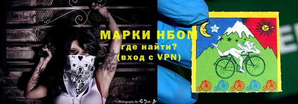 прущие грибы Пестово