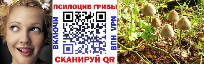 сколько стоит  Кяхта  Галлюциногенные грибы мицелий 